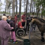 <strong>Экскурсионная поездка «Кревский замок – мини-зоопарк «Кони-пони»</strong>