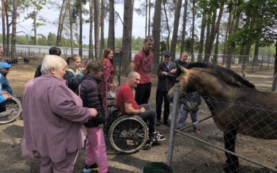 Экскурсионная поездка «Кревский замок – мини-зоопарк «Кони-пони»
