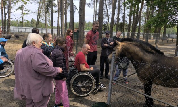 <strong>Экскурсионная поездка «Кревский замок – мини-зоопарк «Кони-пони»</strong>