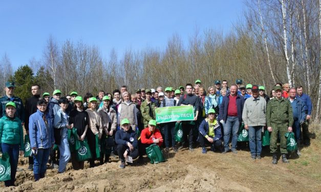 Работники управления по труду, занятости и социальной защите Новогрудского райисполкома приняли участие в акции «Неделя леса»