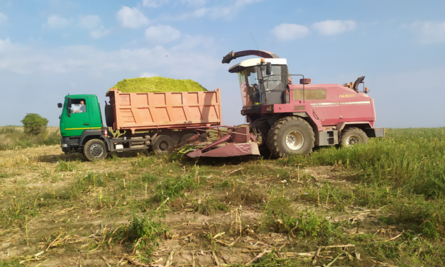 <strong>Месячник безопасности труда во время уборки кукурузы проходит в организациях агропромышленного комплекса Зельвенского района</strong>
