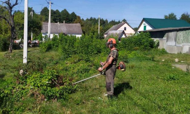 Временная занятость в виде участия в оплачиваемых общественных работах