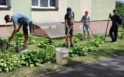Временная летняя занятость в Берестовицком районе