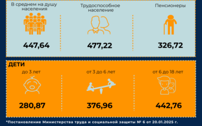 С 1 февраля 2025 г. увеличивается размер БПМ