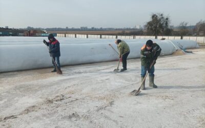 Временная трудовая занятость. Гродно