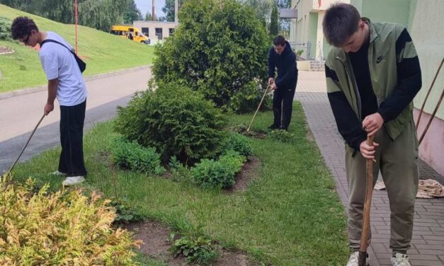 Трудовое лето началось в Берестовицком районе