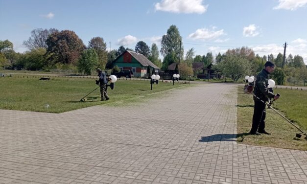 Оплачиваемые временные работы на территории Щучинского района
