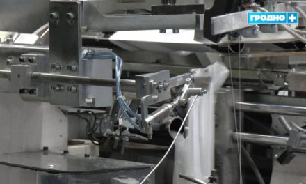 185 обязанных лиц получили работу в Гродно в 2025 году